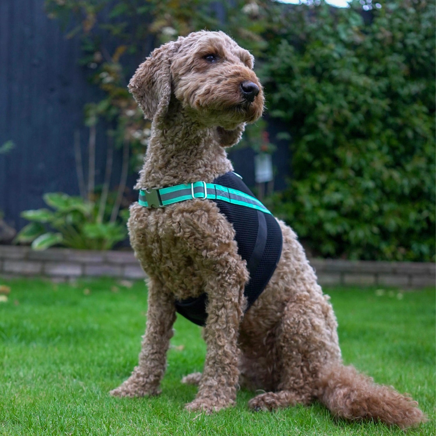 Apparel Harness - K9 Wear®