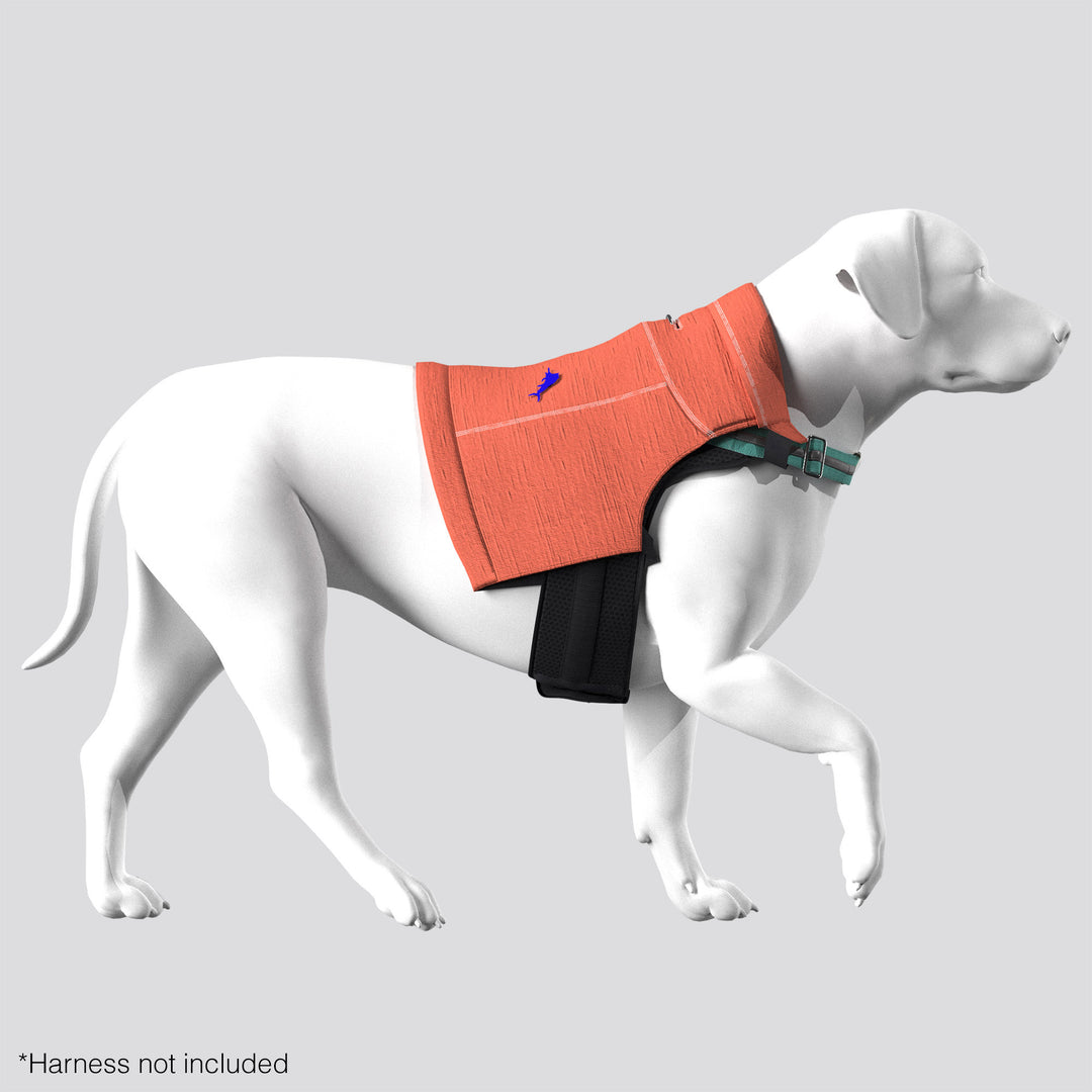 Quarter Zip - Tommy Bahama® - Orange