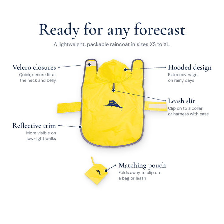 Tommy Bahama Pet - Packable Raincoat