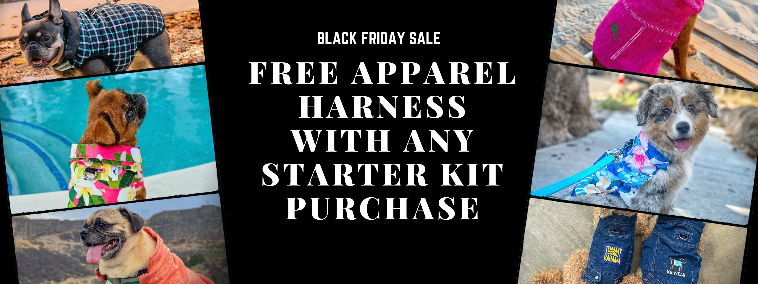 K9 dog apparel shop