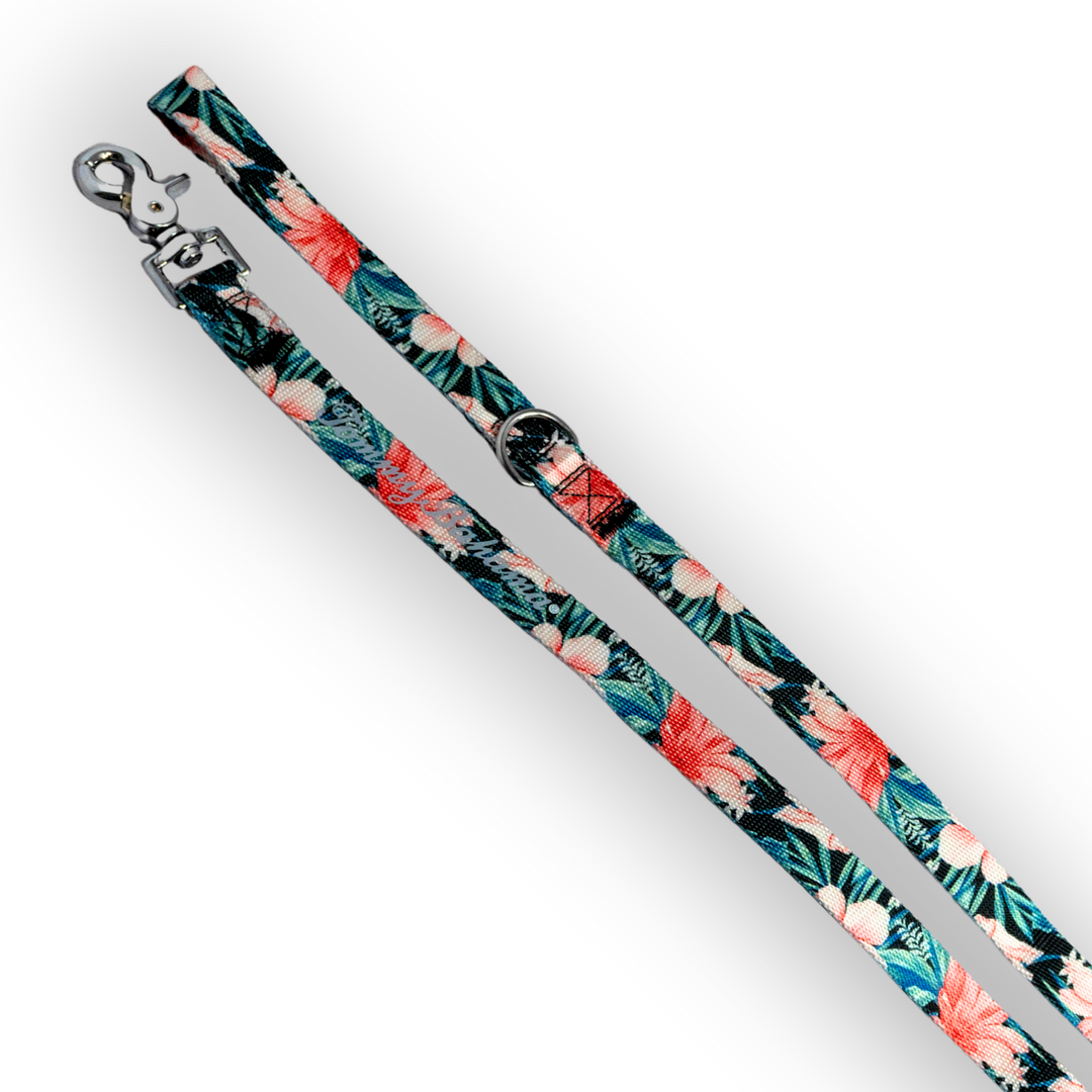 Tommy Bahama Pet - Collar &amp; Leash Set