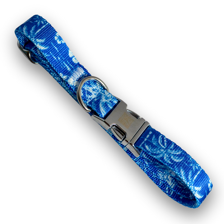 Tommy Bahama Pet - Collar &amp; Leash Set