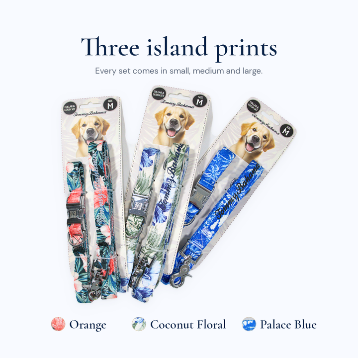 Tommy Bahama Pet - Collar &amp; Leash Set