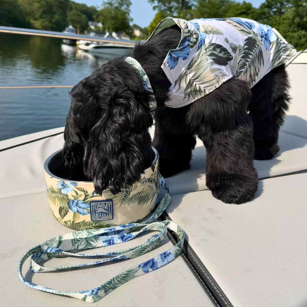 Tommy Bahama Pet - Double Insulated Stainless Steel Bowls