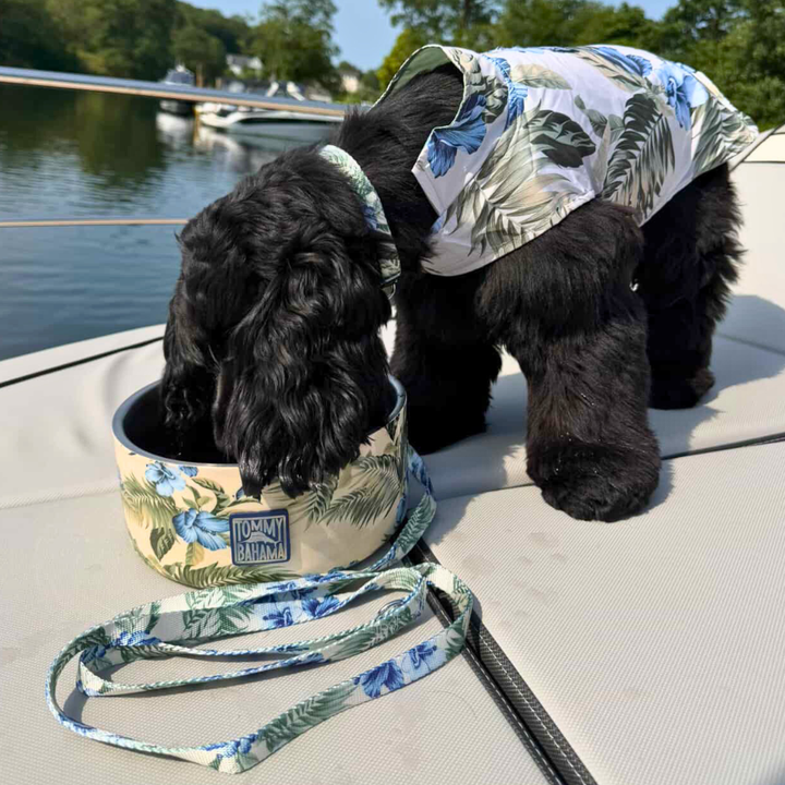Tommy Bahama Pet - Double Insulated Stainless Steel Bowls