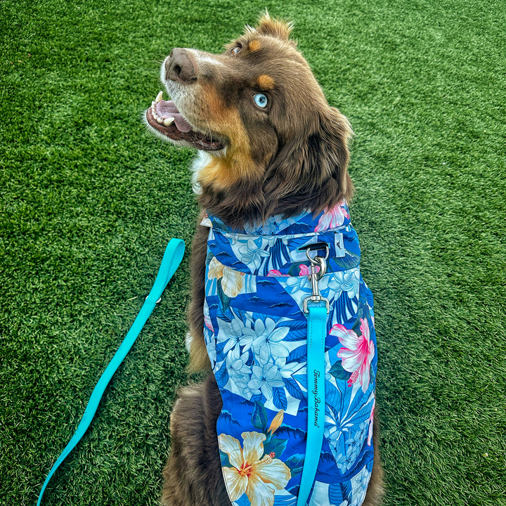 Tommy Bahama® Starter Kit - Hawaiian Shirt - Blue