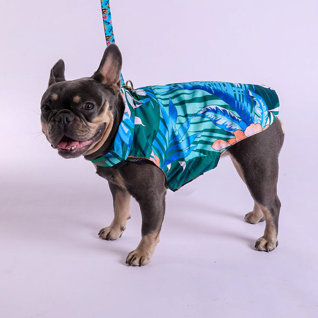 Tommy Bahama® Starter Kit - Hawaiian Shirt - Green