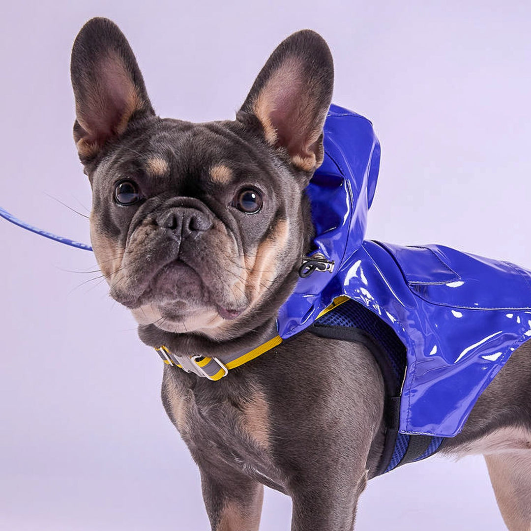 Tommy Bahama® Starter Kit - Raincoat - Blue