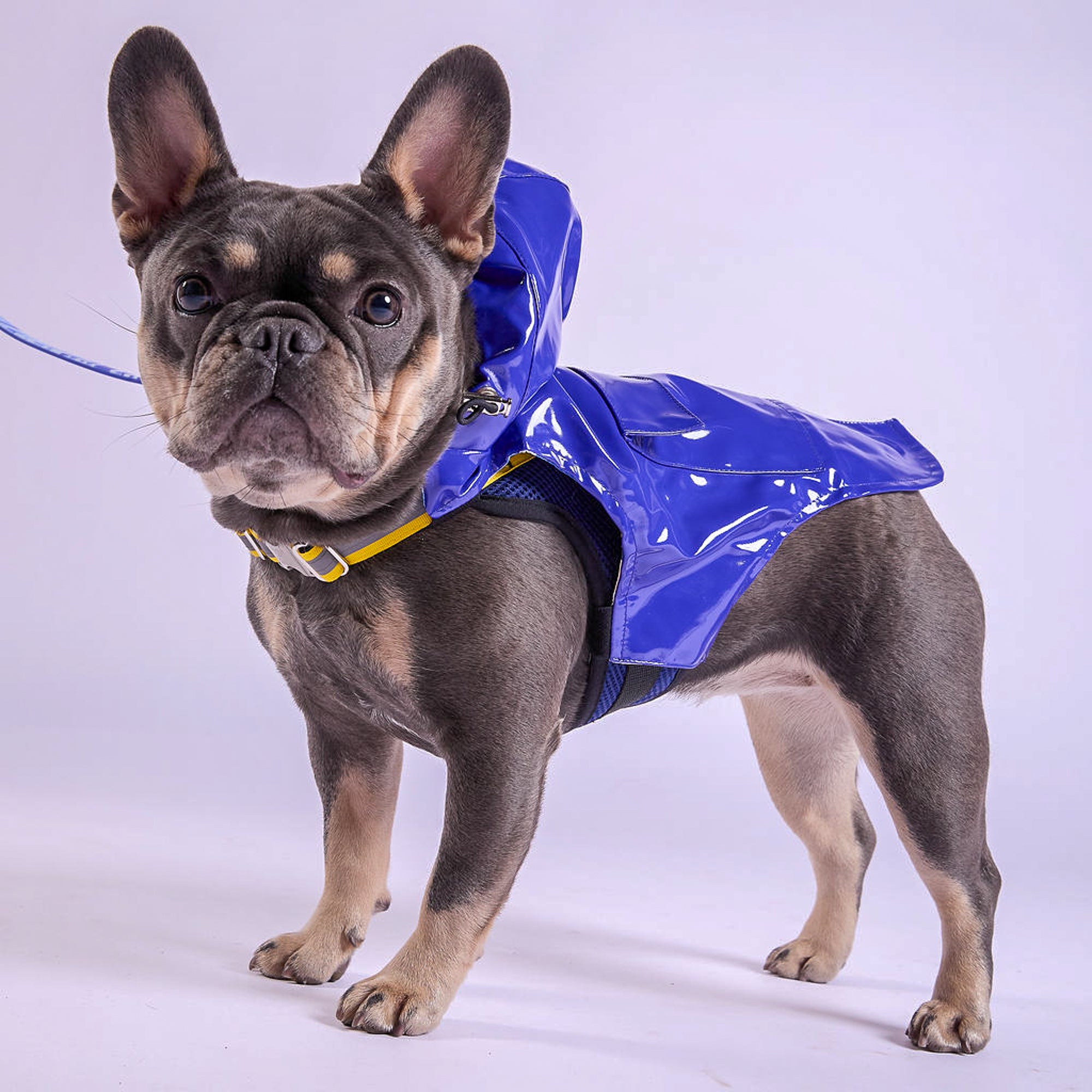 Tommy Bahama® Starter Kit - Raincoat - Blue