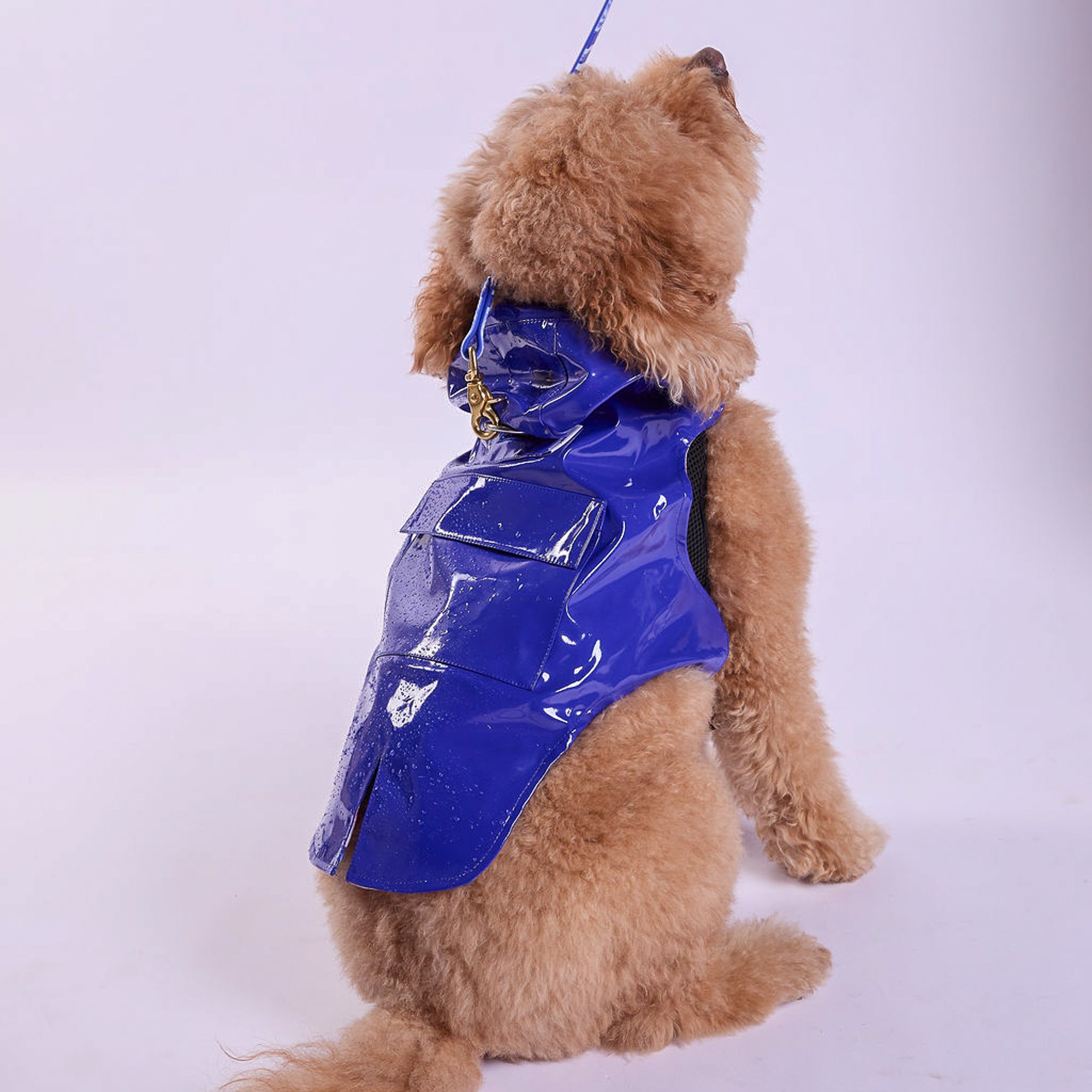 Tommy Bahama® Starter Kit - Raincoat - Blue