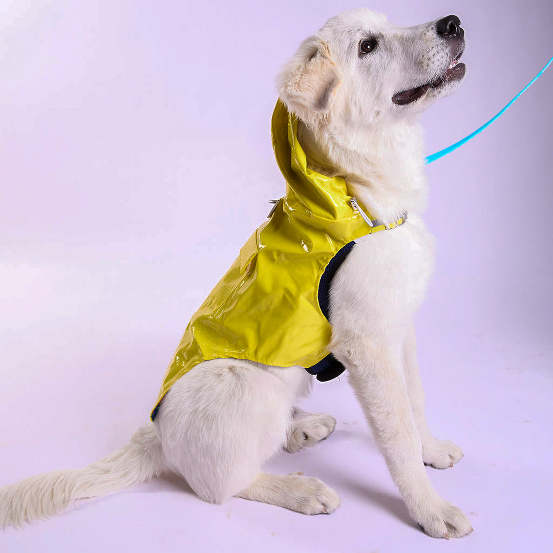 Tommy Bahama® Starter Kit - Raincoat - Yellow