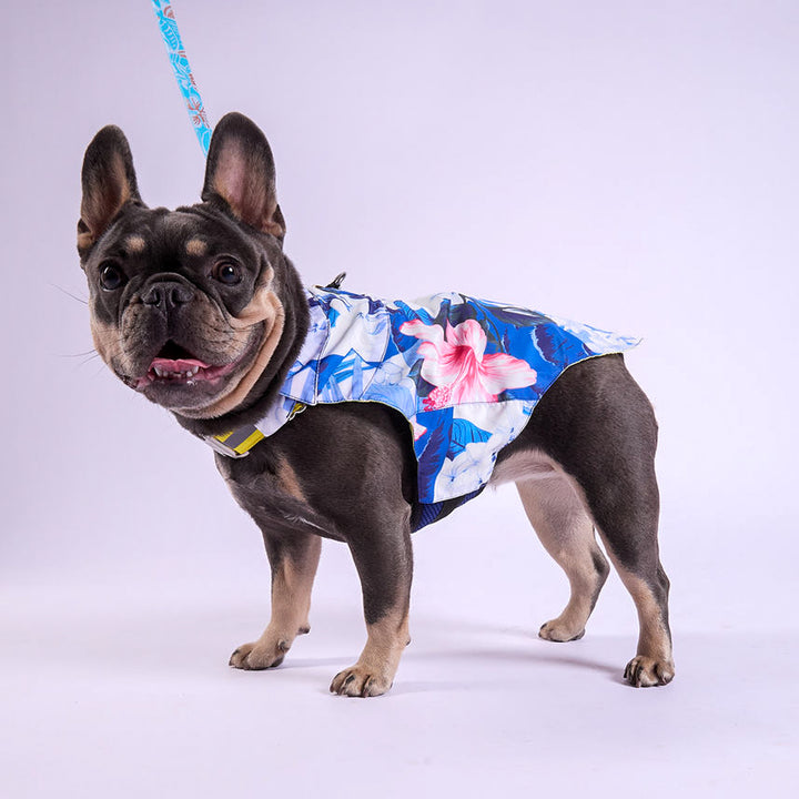 Tommy Bahama® Starter Kit - Hawaiian Shirt - Blue