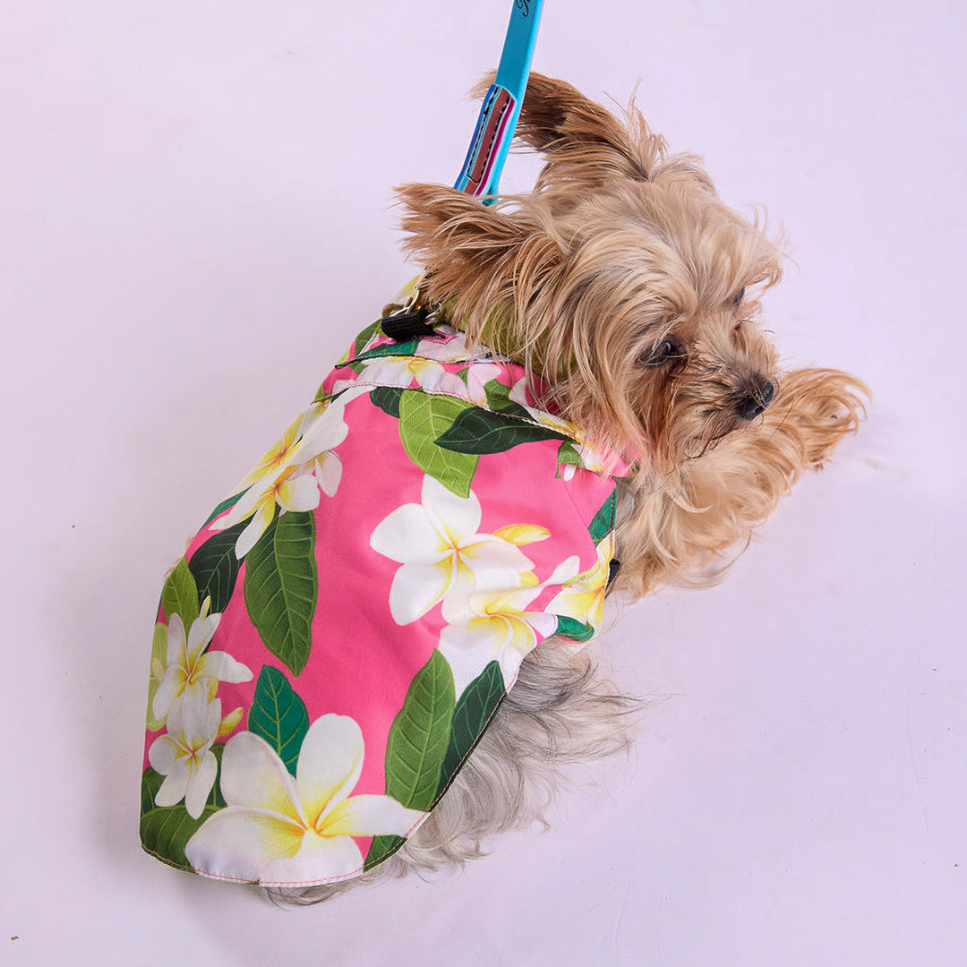 Tommy Bahama® Starter Kit - Hawaiian Shirt - Pink