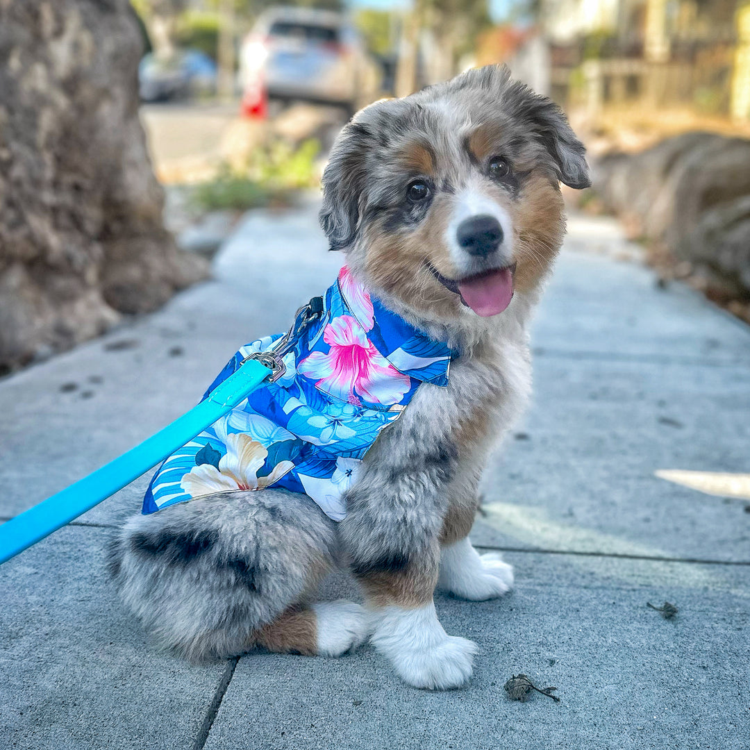 Tommy Bahama® Starter Kit - Hawaiian Shirt - Blue