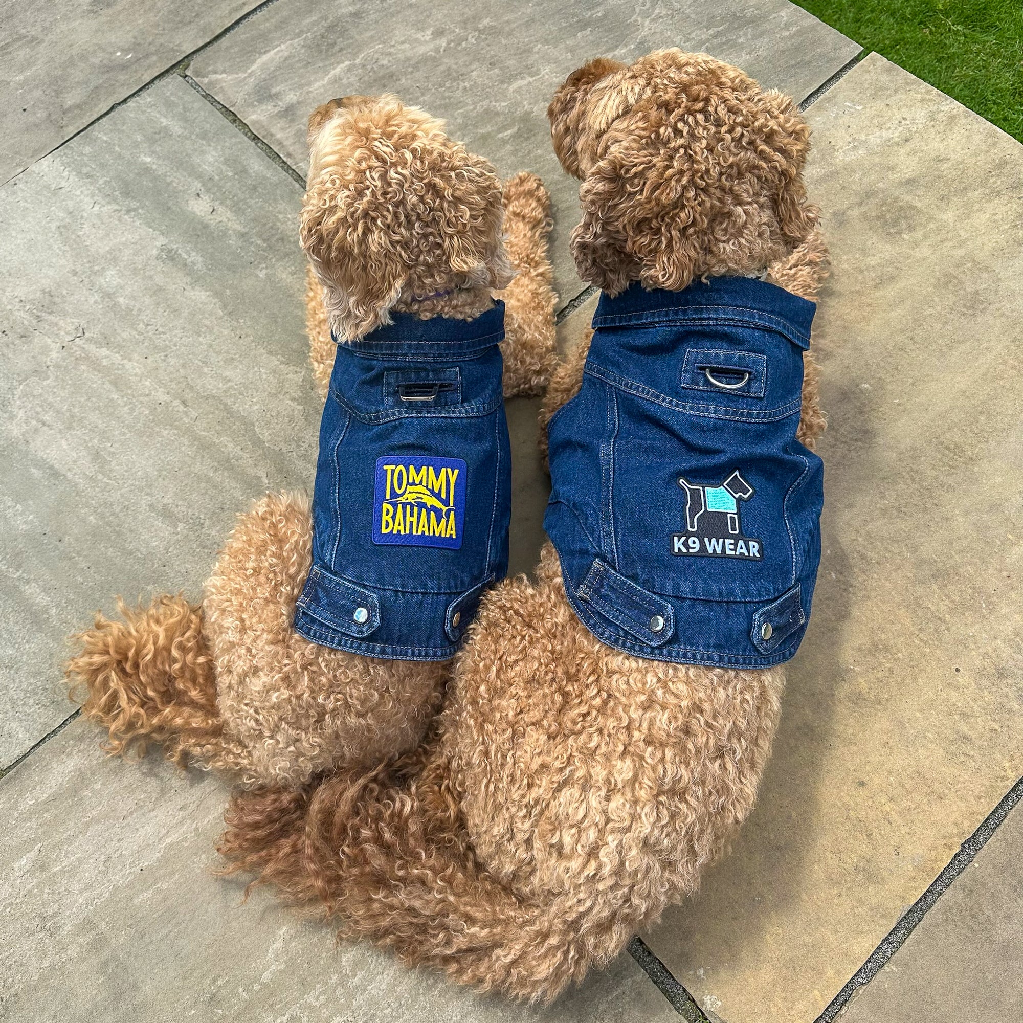 K9 Wear® Starter Kit - Denim Jacket