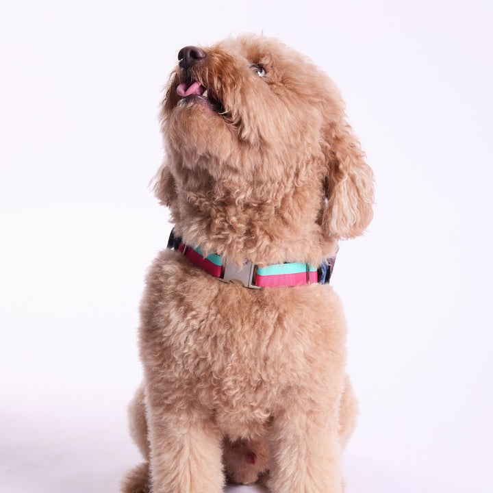 Trina Turk® Starter Kit - Denim Jacket