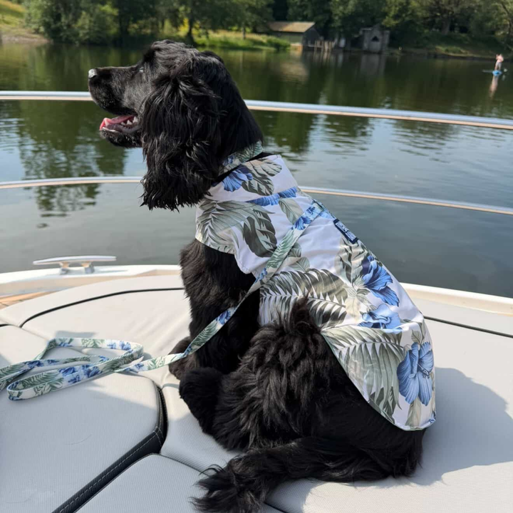 Tommy Bahama Pet - Frandy