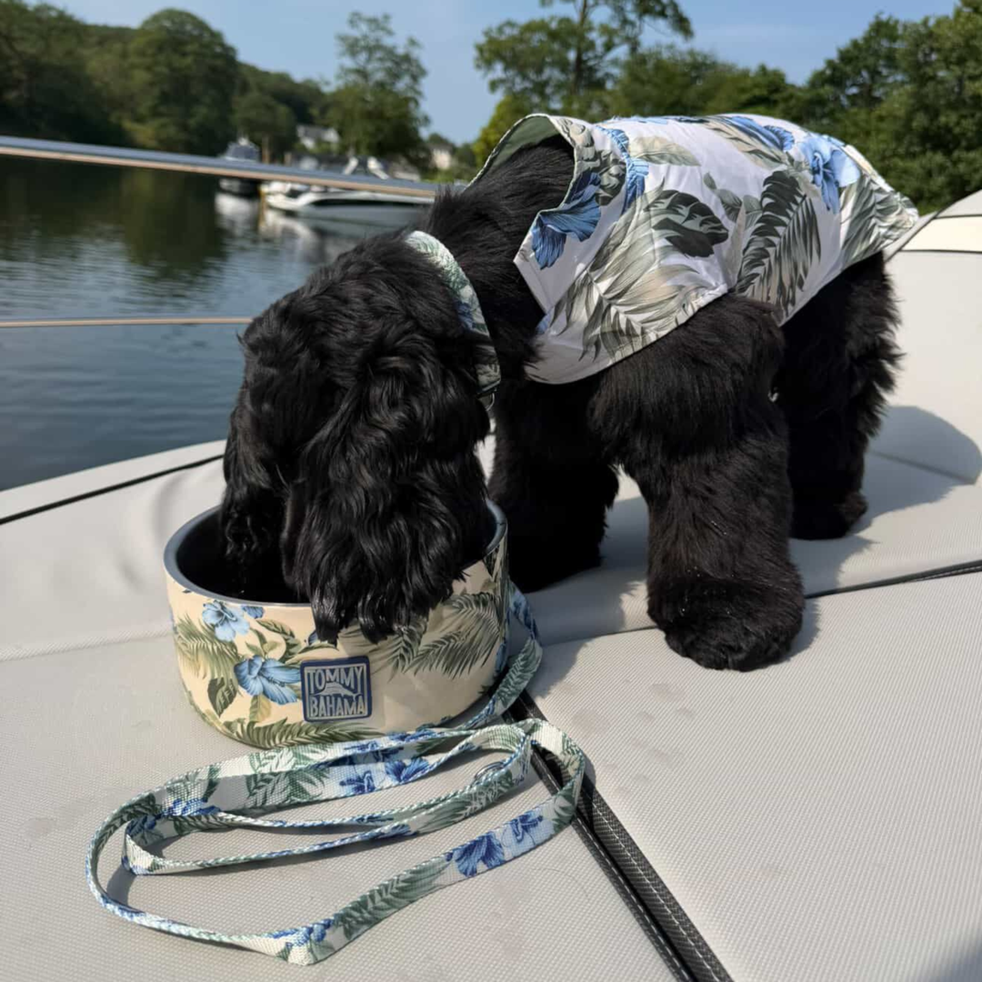 Tommy Bahama Pet - Double Insulated Stainless Steel Bowls