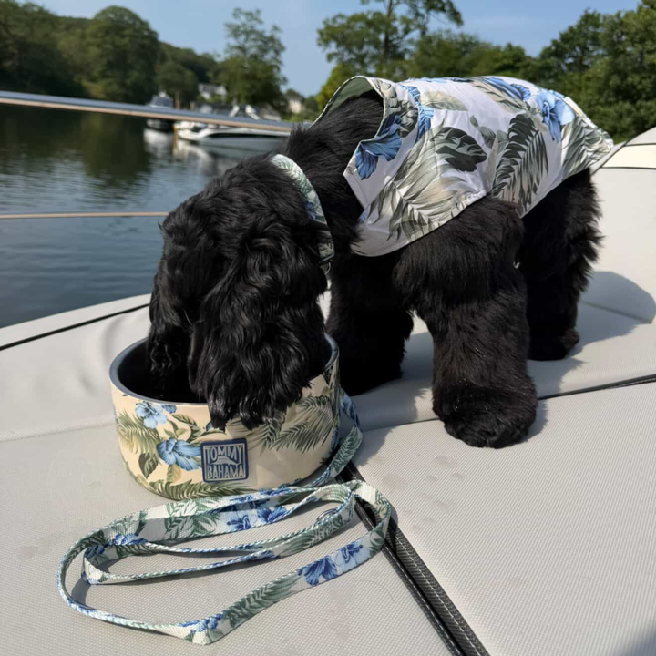 Tommy Bahama Pet - Double Insulated Stainless Steel Bowls