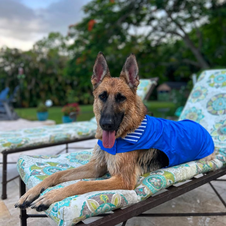 IZOD Pet - Frandy