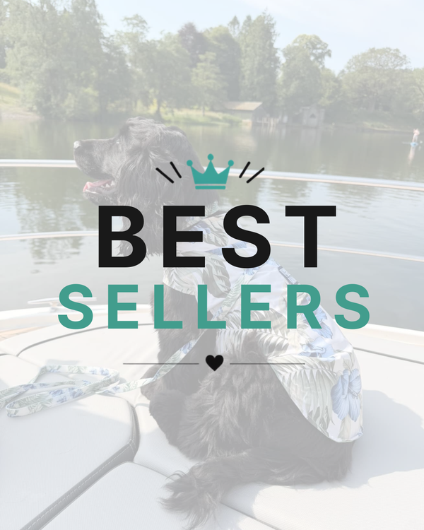 Best Sellers