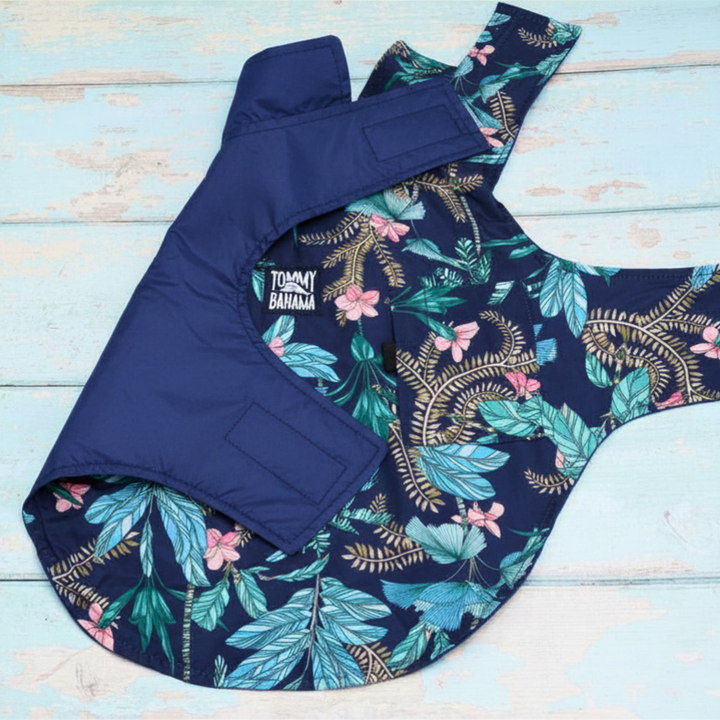 Tommy Bahama Pet - Frandy