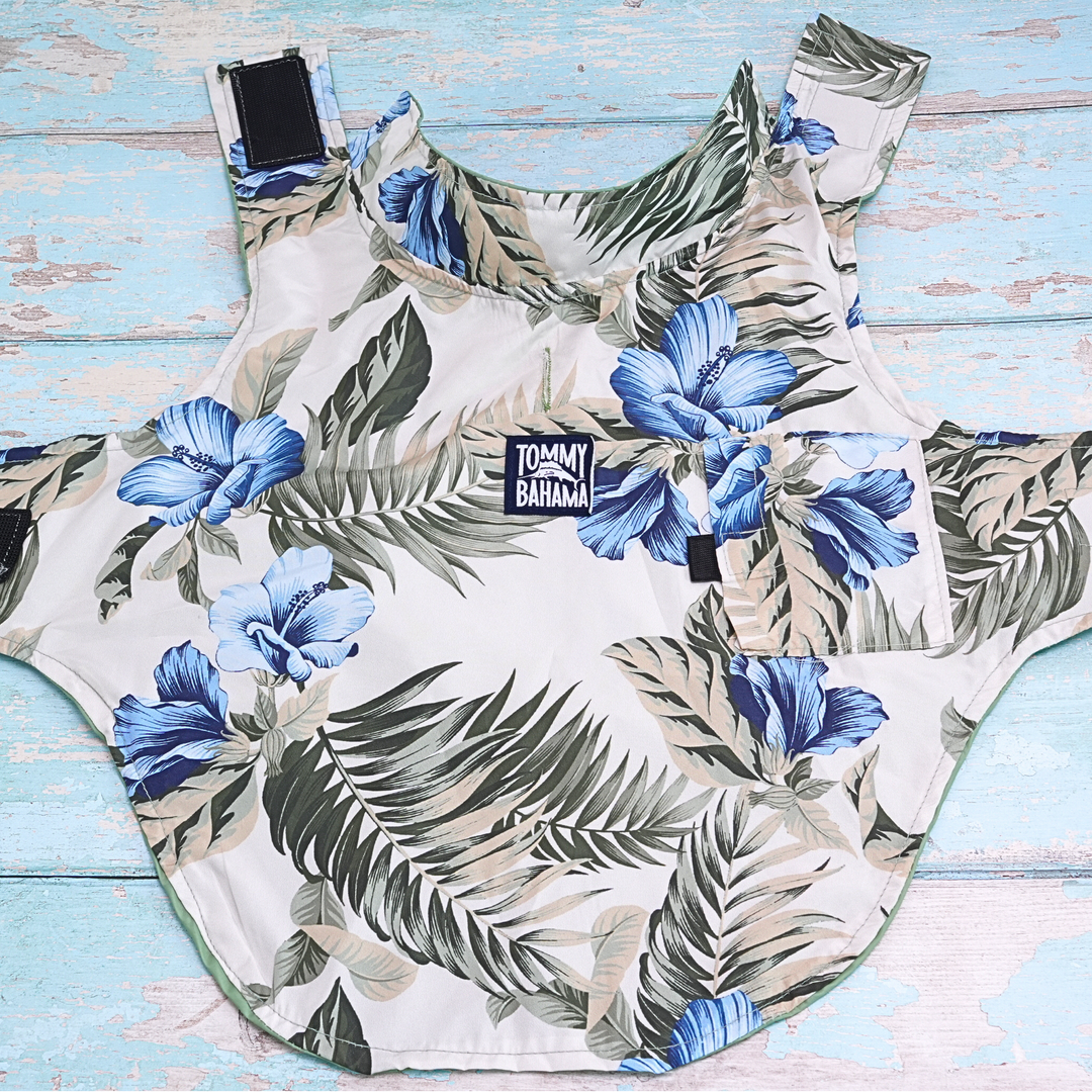 Tommy Bahama Pet - Frandy