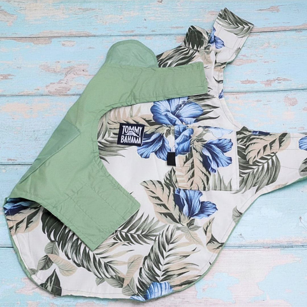 Tommy Bahama Pet - Frandy