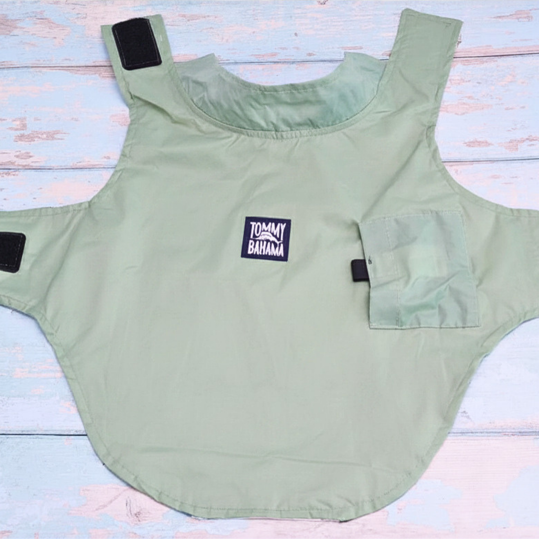Tommy Bahama Pet - Frandy