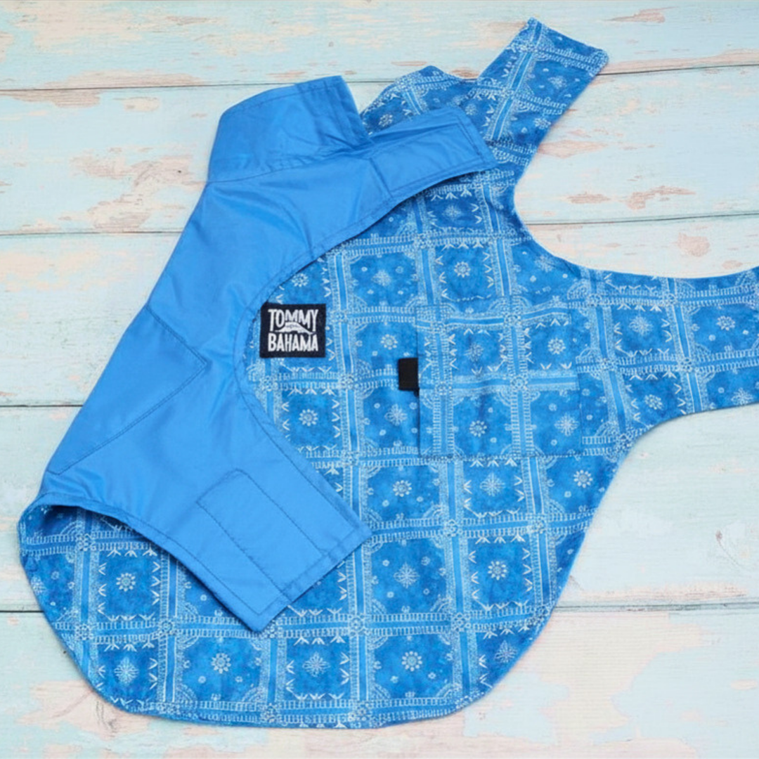 Tommy Bahama Pet - Frandy