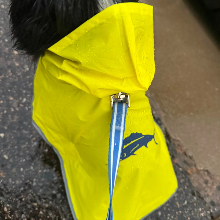 Tommy Bahama Pet - Packable Raincoat