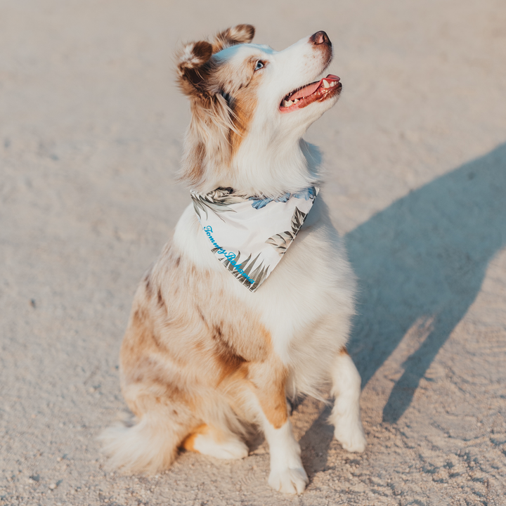 Tommy Bahama Pet - Bandana