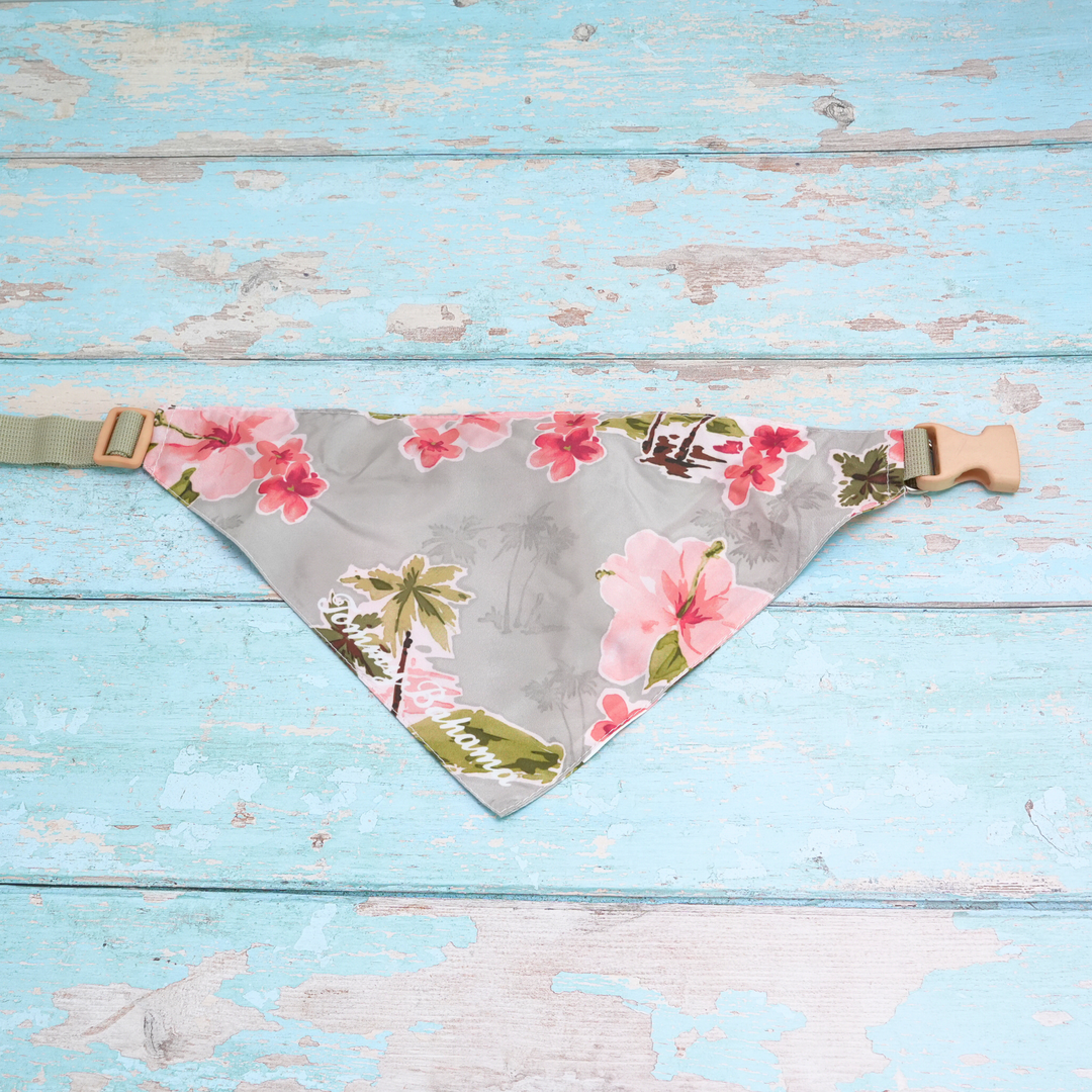 Tommy Bahama Pet - Bandana