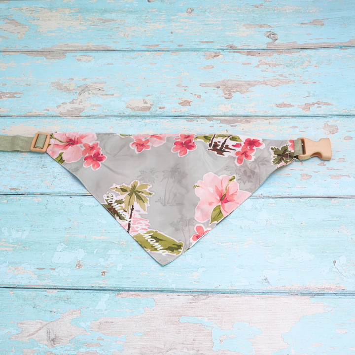 Tommy Bahama Pet - Bandana