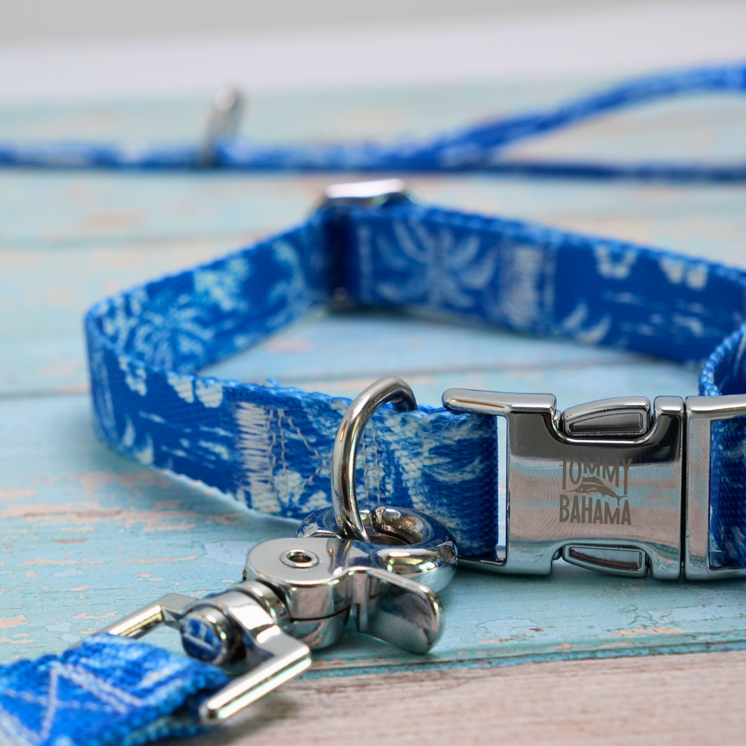 Tommy Bahama Pet - Collar &amp; Leash Set