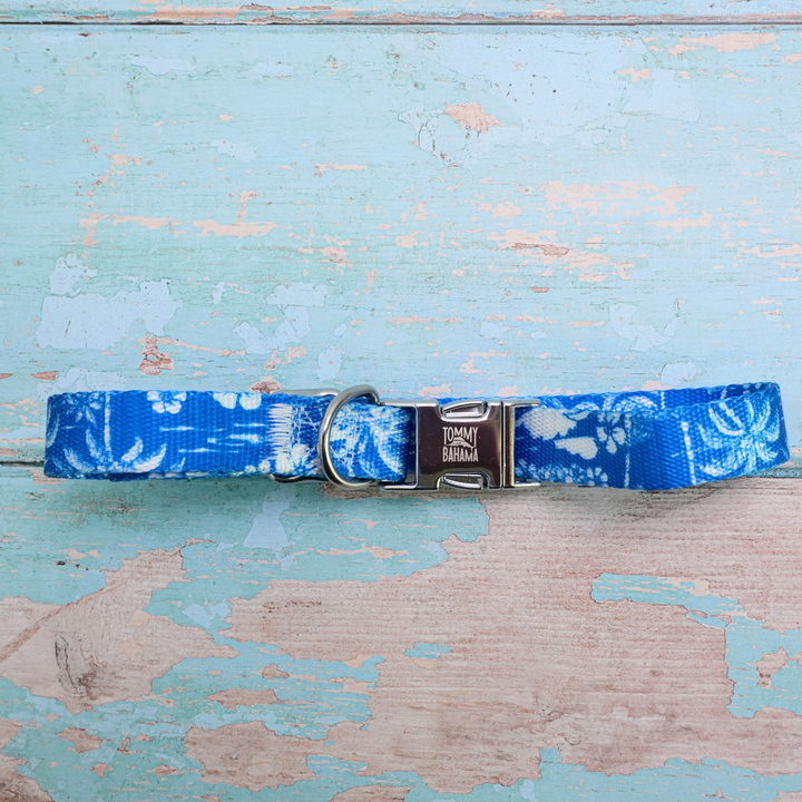 Tommy Bahama Pet - Collar &amp; Leash Set