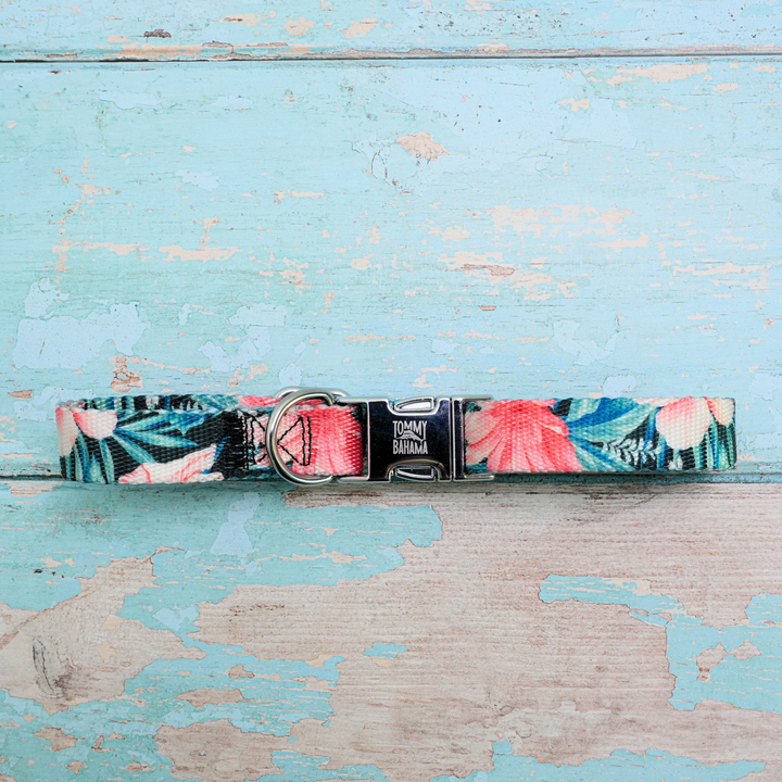 Tommy Bahama Pet - Collar &amp; Leash Set