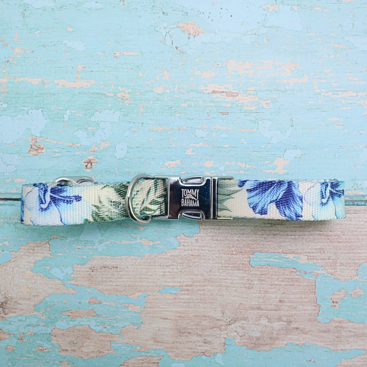 Tommy Bahama Pet - Collar &amp; Leash Set