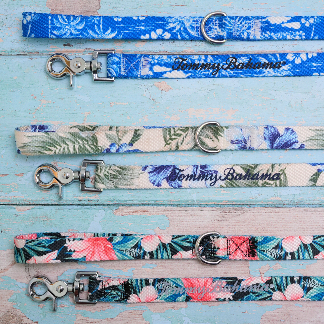 Tommy Bahama Pet - Collar &amp; Leash Set