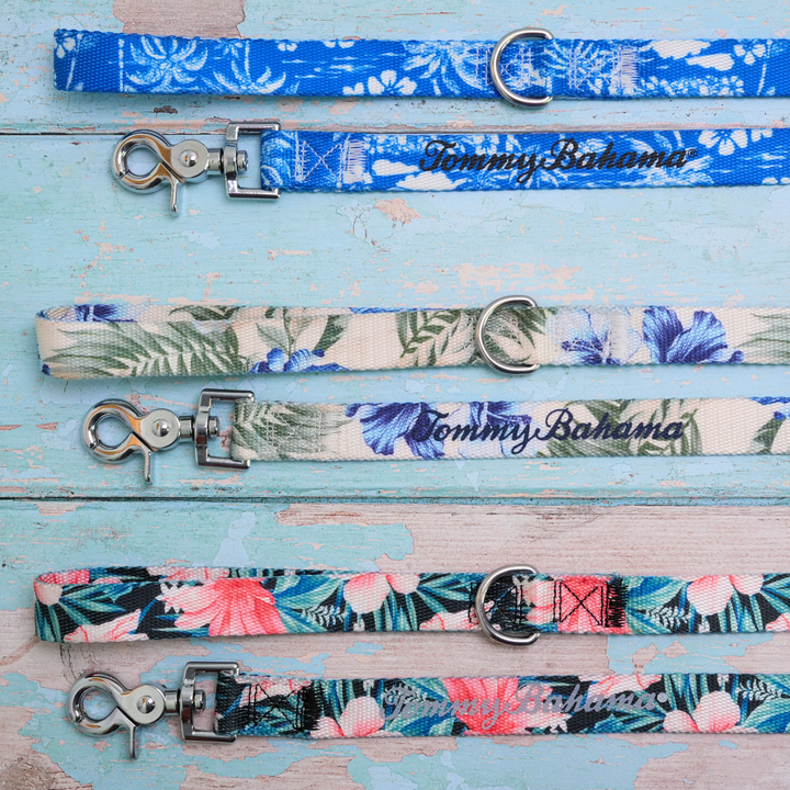 Tommy Bahama Pet - Collar &amp; Leash Set