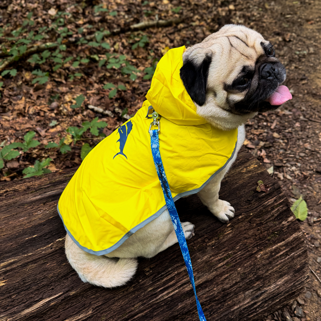 Tommy Bahama Pet - Packable Raincoat