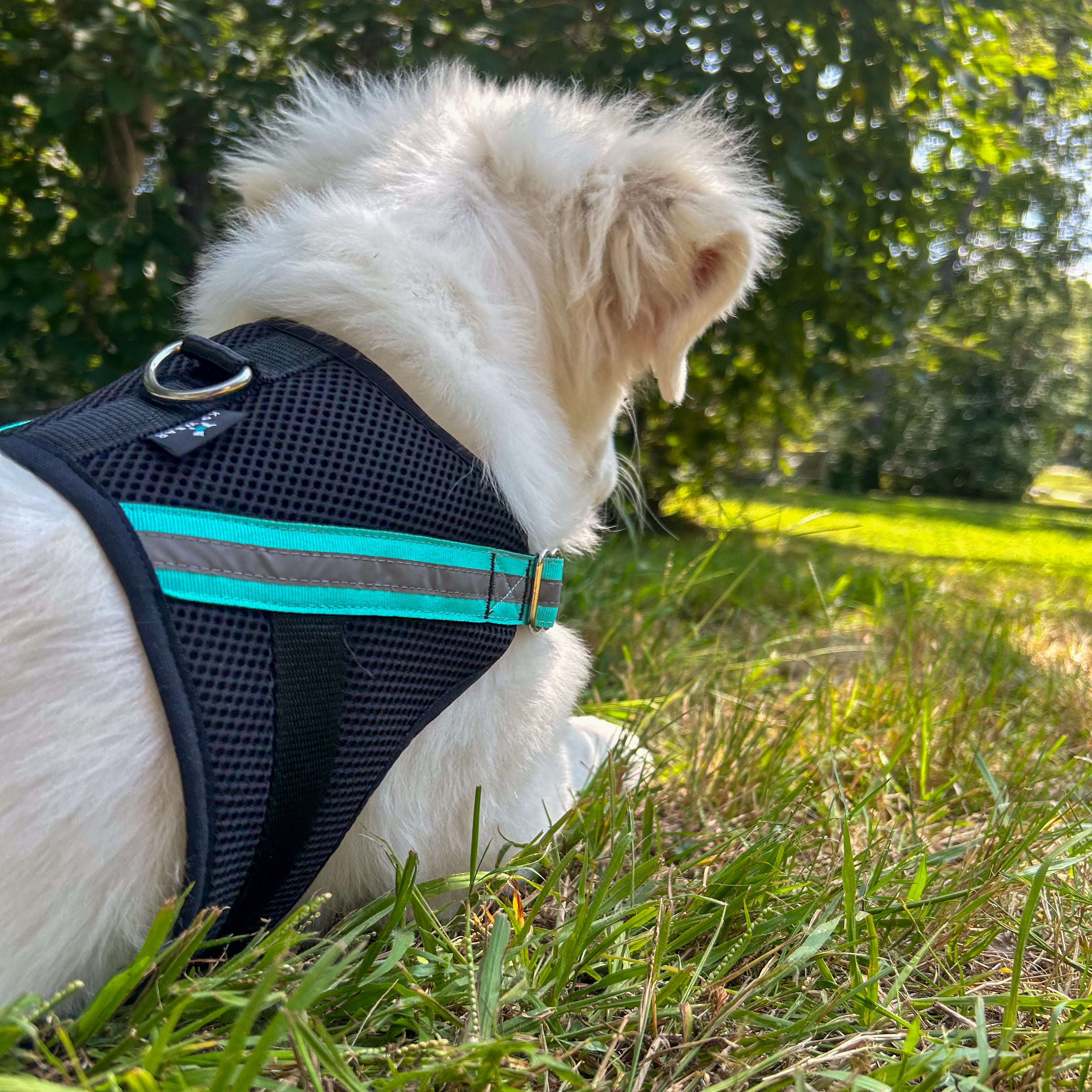 Apparel Harness - K9 Wear®