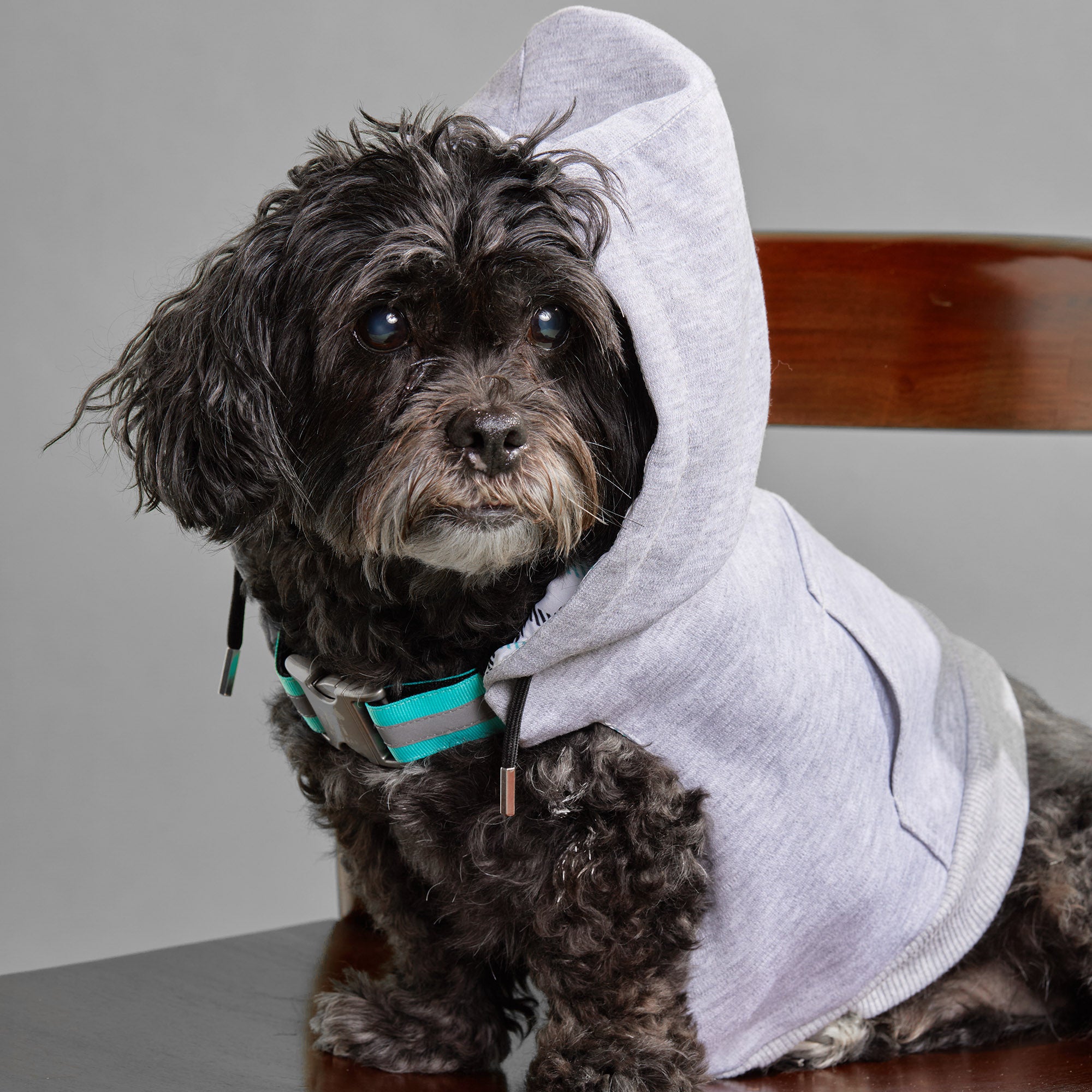 K9 Wear® Starter Kit - Grey Hoodie