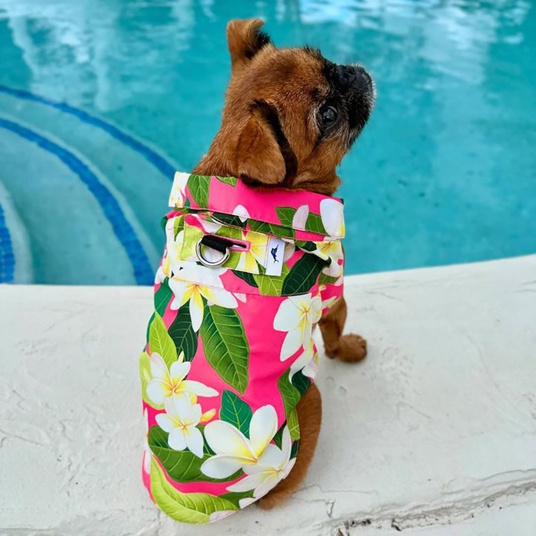 Hawaiian Shirt - Tommy Bahama® - Pink