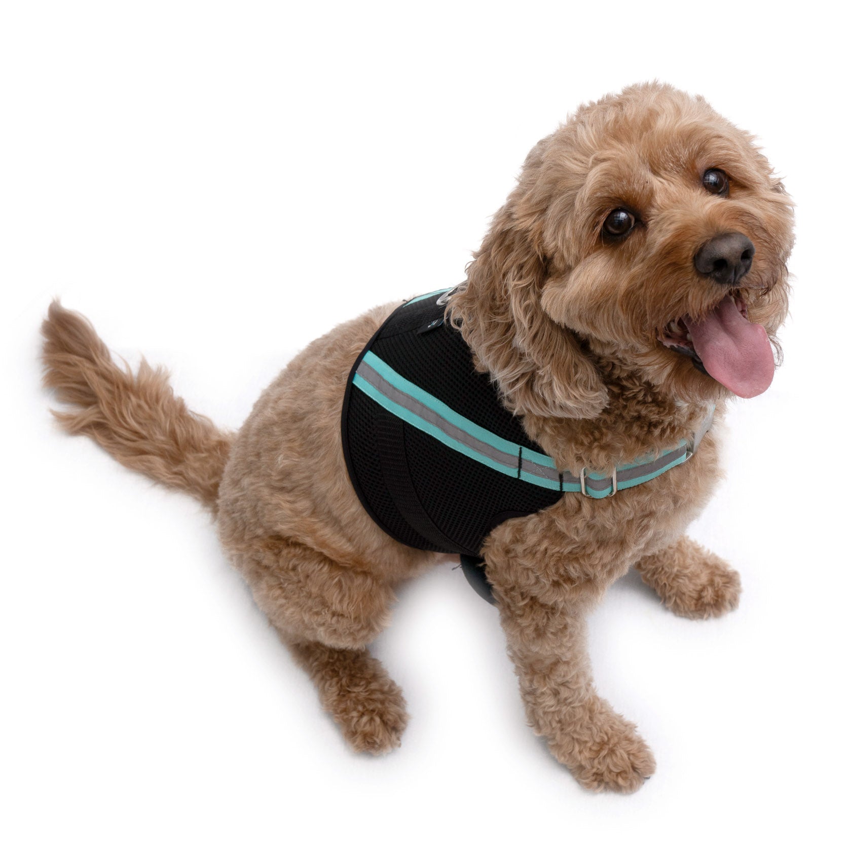 Apparel Harness - K9 Wear®