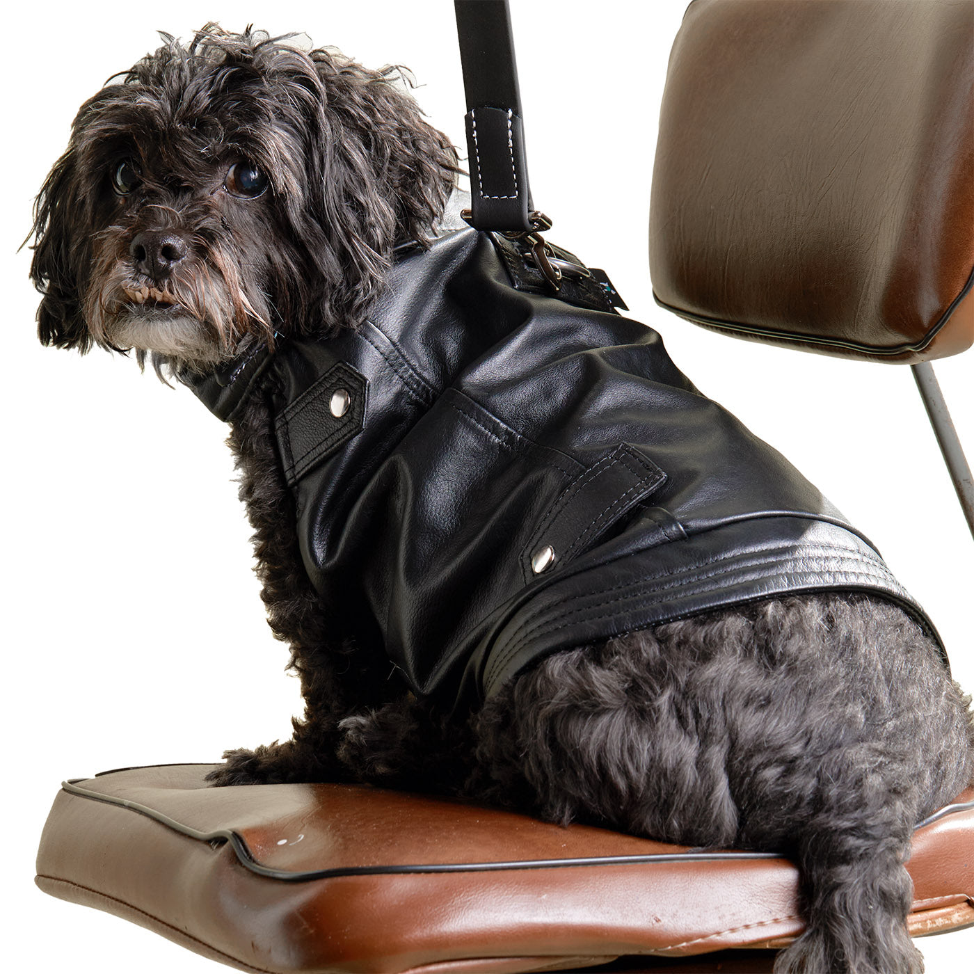 K9 Wear® Starter Kit - Genuine Leather Jacket