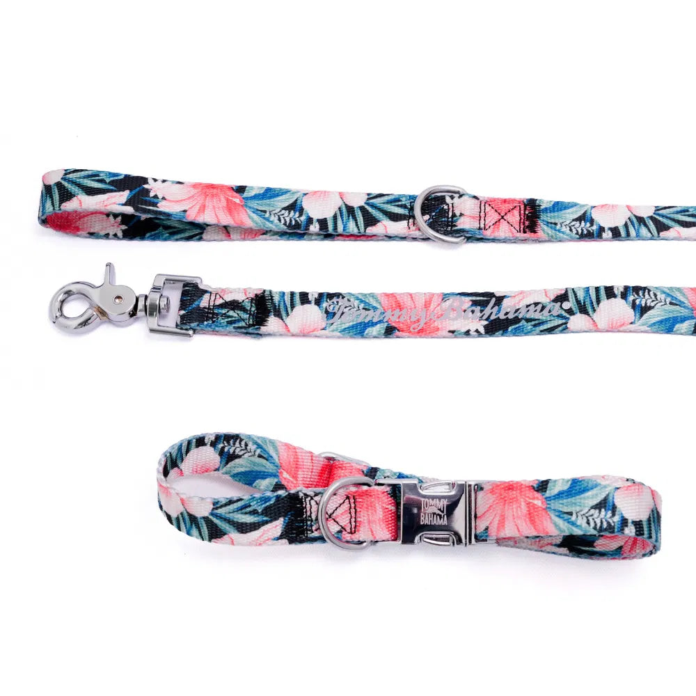 Tommy Bahama Pet - Collar &amp; Leash Set