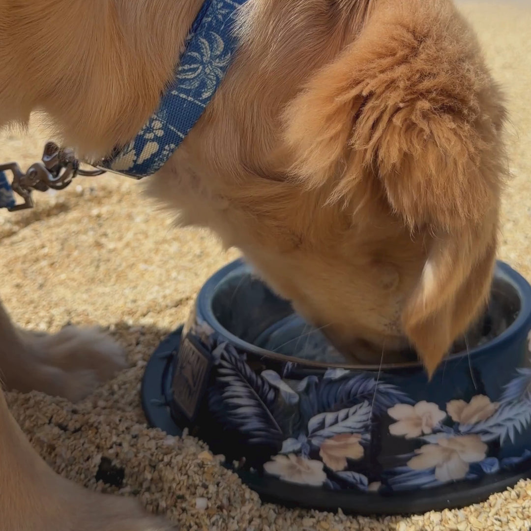 Tommy Bahama Pet - Stainless Steel Bowls
