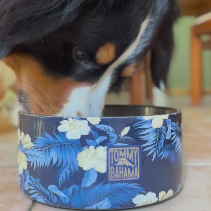 Tommy Bahama Pet - Double Insulated Stainless Steel Bowls
