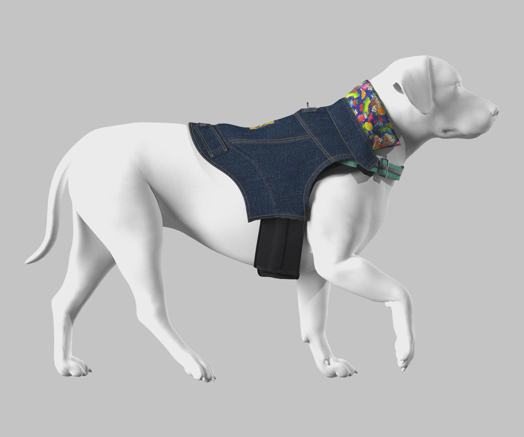 Tommy Bahama® Starter Kit - Denim Jacket